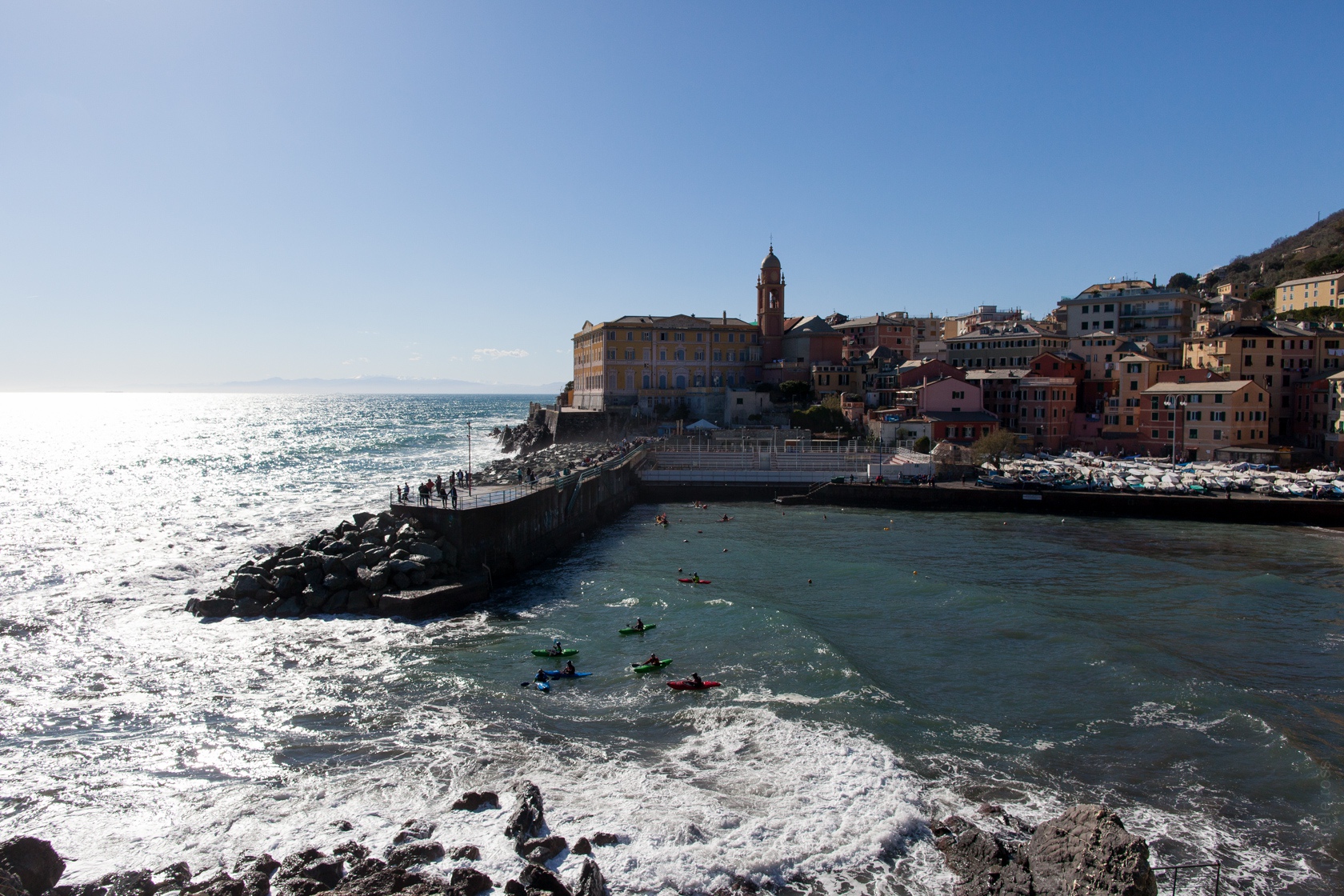 Nervi